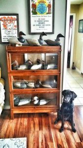 Antique Showcase