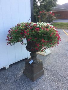 Vintage Garden Urn