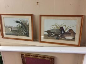 Vintage Pair of Duck Prints