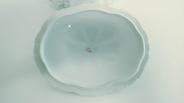 Vintage Haviland & Co Limoges France Large 11" Covered Serving Bowl - Image 9