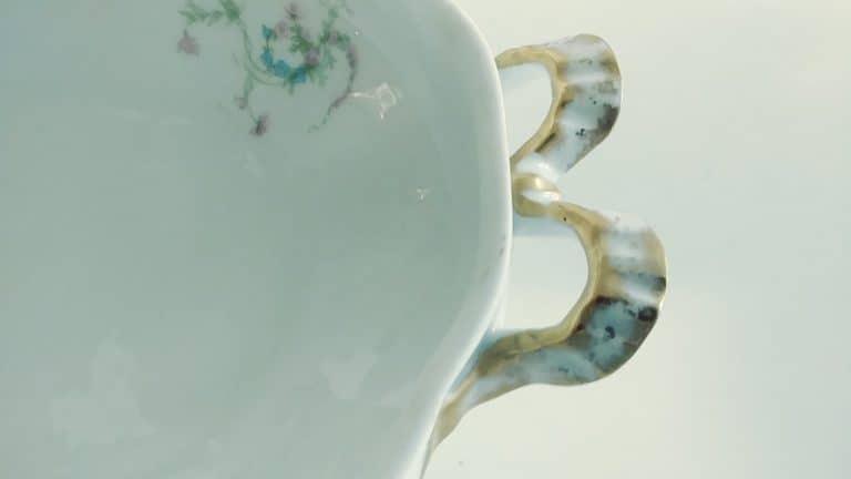 Vintage Haviland & Co Limoges France Large 11" Covered Serving Bowl - Image 4