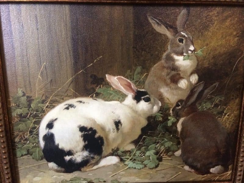 Reproduction Rabbit Painting, Large Frame