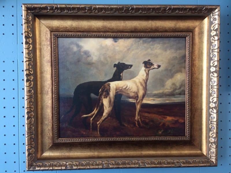 Vintage Reproduction Print, Greyhound Print