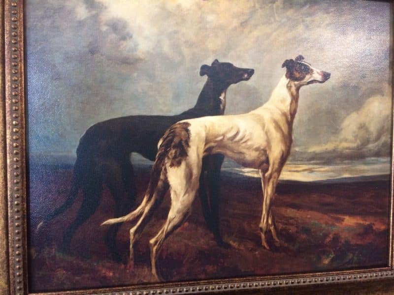 Vintage Reproduction Print, Greyhound Print