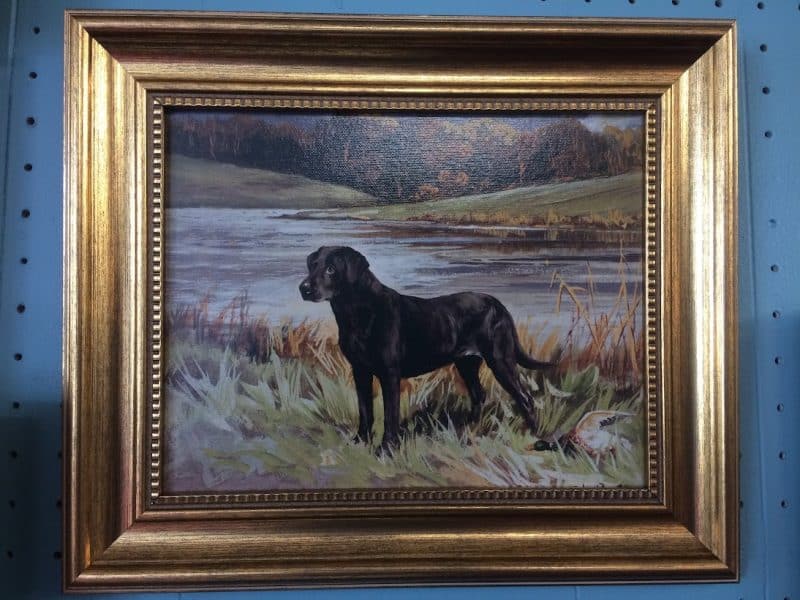 Vintage Print on Canvas, Framed, Labrador Painting