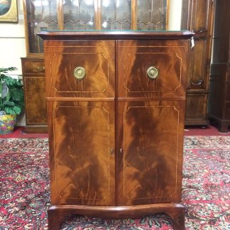 Vintage Mahogany Storage Cabinet, Storage Cabinet, Bar Cabinet