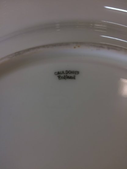 Antique English Cauldon Dinner Plates, Yellow and Gold Dinner Plates, Set of Ten - Image 7
